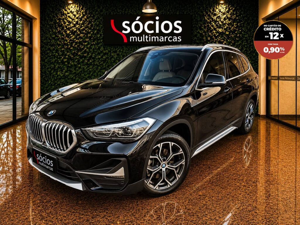 BMW X1 20i S-Drive ActiveFlex